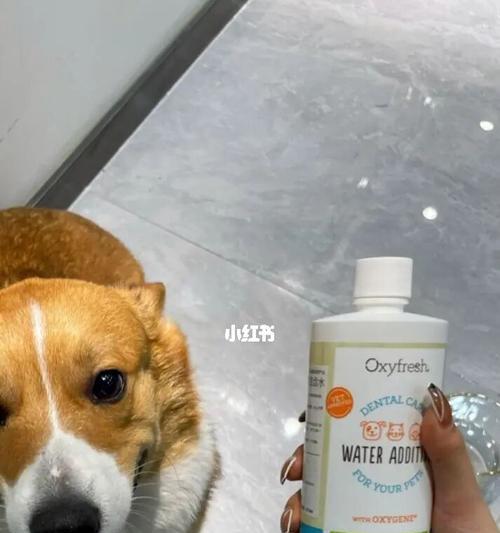 狗狗排尿药全解析（如何选择）