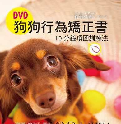狗狗喘气，究竟是怎么回事（探究狗狗喘气的原因和应对方法）