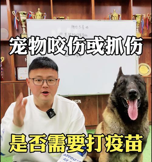 狗狗打了疫苗后变得异常狂躁（宠物主人必读）