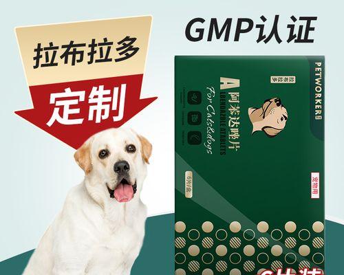 狗狗得蛔虫怎么办（预防与治疗）