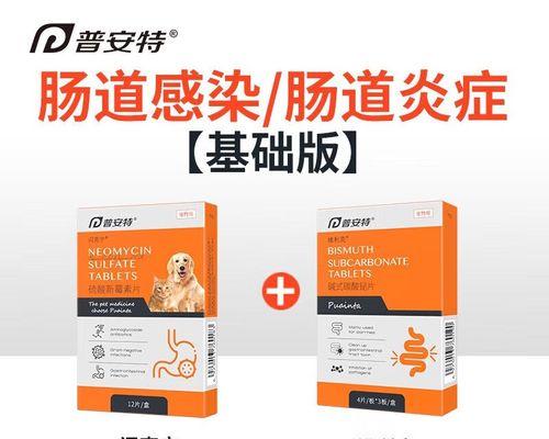 如何识别和治疗狗狗得痢疾（狗狗得痢疾的症状）