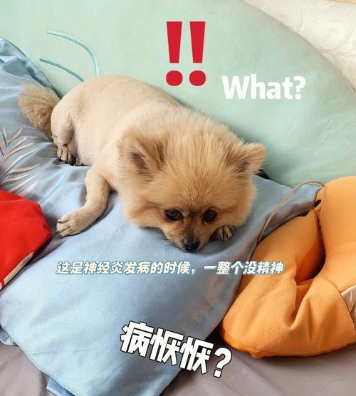 狗狗多发性神经炎，宠物主人应该知道的一切（了解病因、症状和治疗）