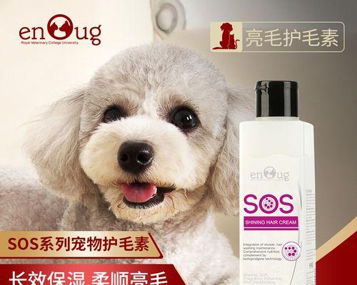 狗狗护毛素的选择与使用（如何为宠物选择适合的护毛素）