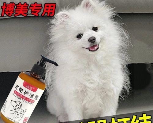 狗狗护毛素的选择与使用（如何为宠物选择适合的护毛素）