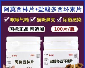 如何正确给狗狗服用咳嗽药（了解狗狗咳嗽的原因）