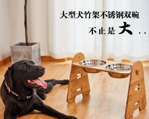 如何解决宠物狗狗拉屎很少很硬的问题（针对宠物狗狗拉屎很少很硬的原因和解决方法）