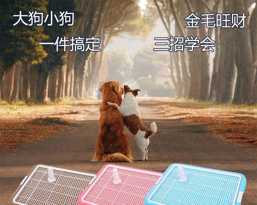 狗狗拉屎的去味方法（让你的宠物身上散发清新香气的小妙招）