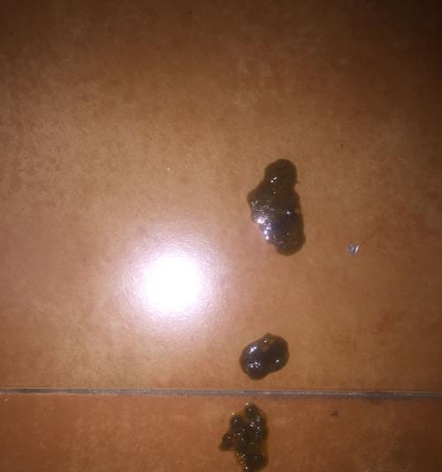 狗狗拉屎后粘稠液体的原因和应对方法（如何保持狗狗肠胃健康）