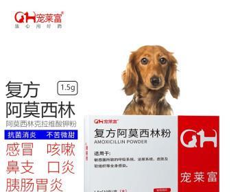 一岁狗狗拉稀怎么办（了解狗狗拉稀的原因及治疗方法）