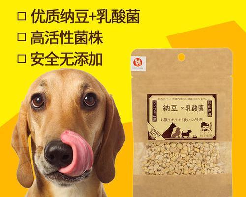 一岁狗狗拉稀怎么办（了解狗狗拉稀的原因及治疗方法）