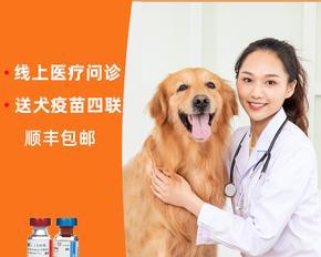 如何正确使用狗狗埋针（宠物的健康需要我们的关注）