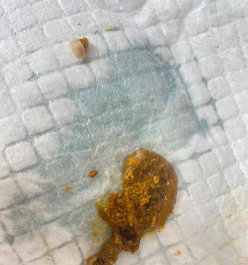 为什么狗狗毛质不好（探究毛质与饮食之间的关系）