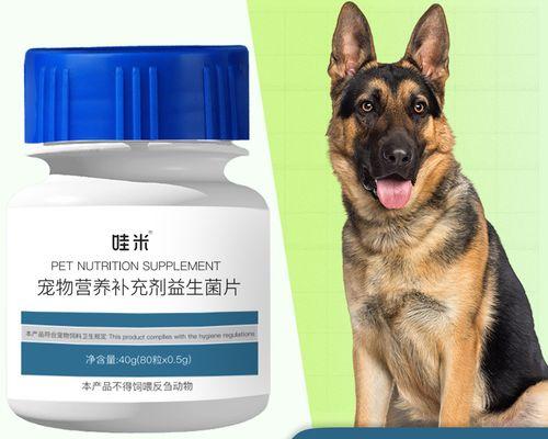 狗狗如何生小狗（从配对到分娩）