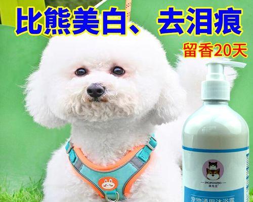 狗狗洗澡的时间（给宠物狗洗澡的注意事项和方法）