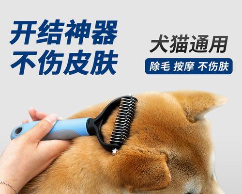 如何有效清理狗狗梳子（让你的宠物更健康）