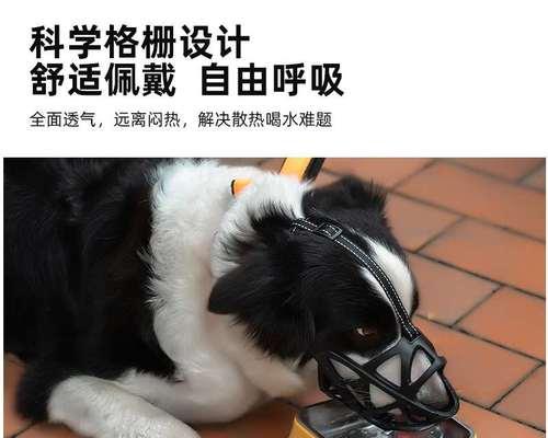 狗狗突然在家里吠，该怎么办（探讨狗狗吠叫的原因和解决方法）