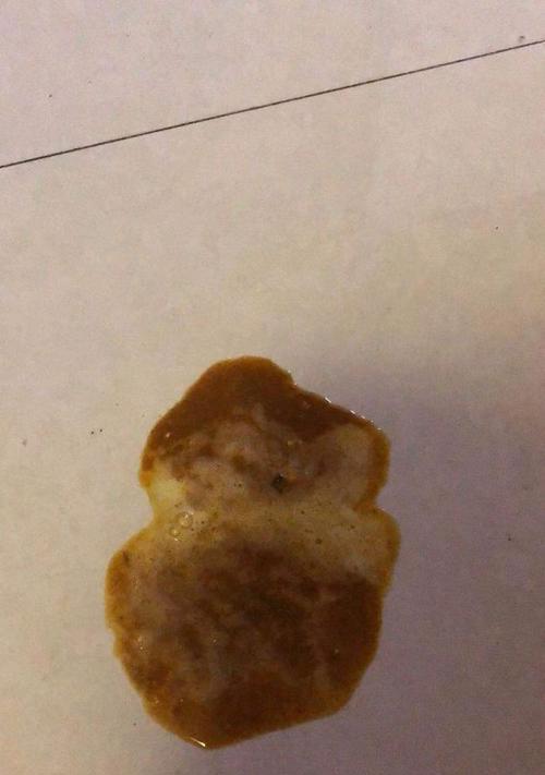 宠物狗狗吐黄水，可能是这种病（狗狗吐黄水怎么办）