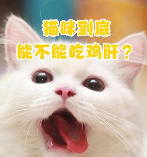 狗狗喂鸡肝好不好（探究鸡肝作为宠物食品的优劣性）
