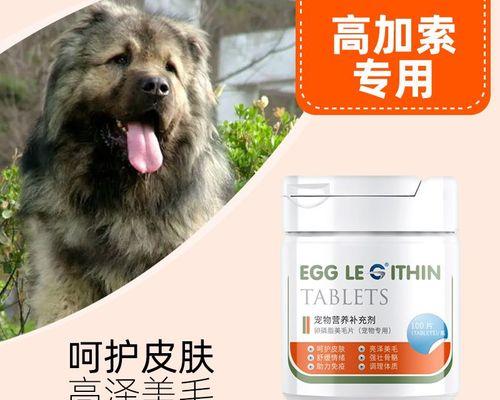 狗狗闻了猫毛咳嗽（揭开宠物闻猫毛咳嗽的真相）