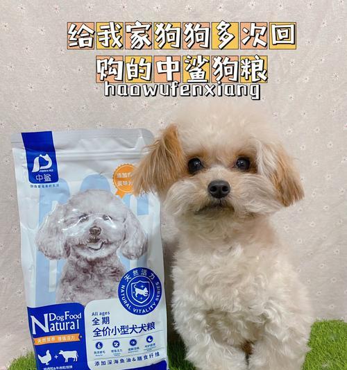 狗狗为什么喜欢吃报纸（探究狗狗食欲背后的心理因素）
