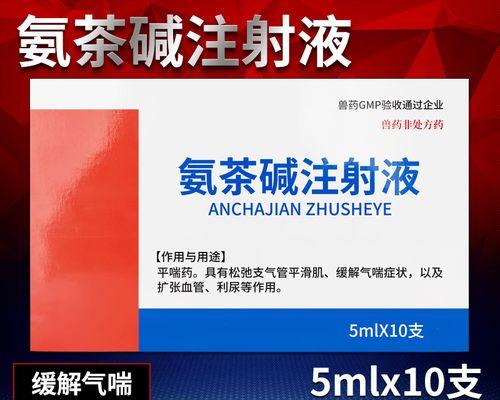 宠物哮喘常识（狗狗哮喘的注意事项和治疗方法）
