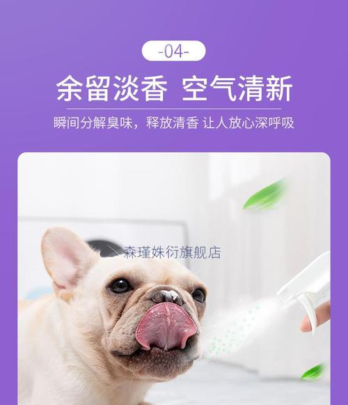 如何选择适合狗狗使用的消毒液（了解你的狗狗的需求）