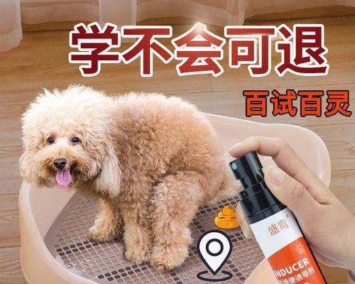 如何通过狗狗诱导液，让你的宠物拥有强健的身体与健康的生活（如何通过狗狗诱导液）