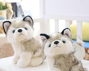 八哥犬的价格及养护（从宠物角度来了解八哥犬的市场价格和日常养护）