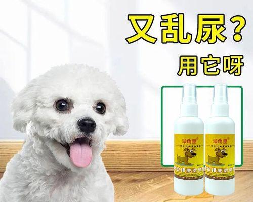 狗狗的导尿技巧（学会这些技巧）