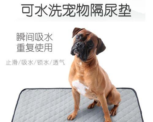 狗狗的导尿技巧（学会这些技巧）