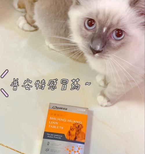 猫咪怀孕需注意的药品及注意事项（宠物猫咪怀孕期应该避免使用的药物）