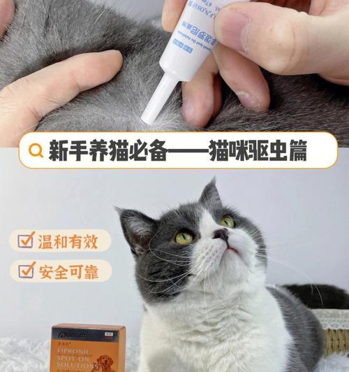 猫咪怀孕需注意的药品及注意事项（宠物猫咪怀孕期应该避免使用的药物）