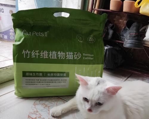 猫咪拉稀草绿色便便，你需要知道的关键信息（宠物健康关键）