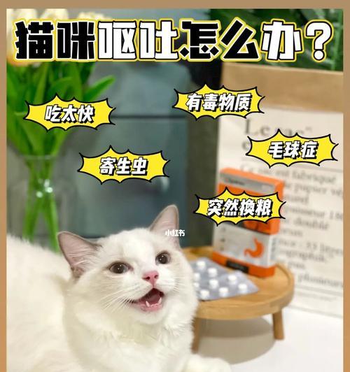 猫咪呕吐怎么办（探寻药物治疗猫咪呕吐的好方法）