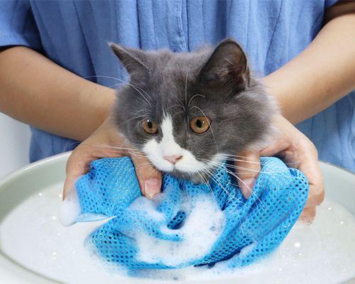 宠物猫的清洁之道——如何清理猫咪边（小技巧大作用）