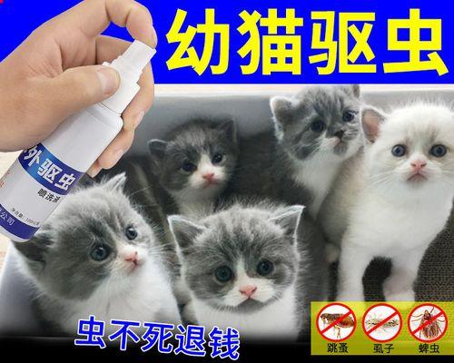 猫咪驱虫滴剂使用指南（为爱宠护航——猫咪驱虫滴剂的正确使用方法）
