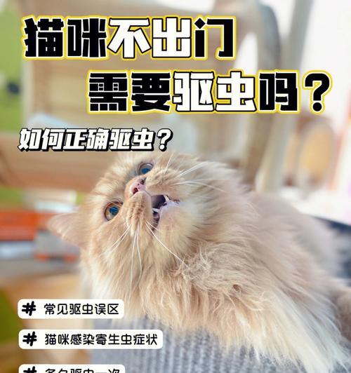 以猫咪驱虫，吃东西安全吗（宠物健康需谨慎）