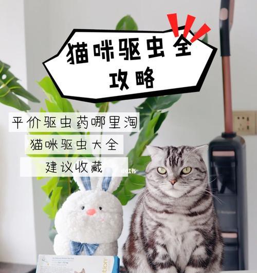 宠物猫咪的驱虫方法（以猫咪驱虫）