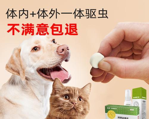 猫咪驱虫药用药指南（如何正确使用猫咪驱虫药来保护你的宠物）