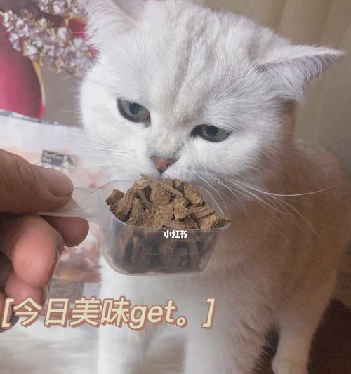 如何以猫咪为主食生牛肉（猫咪饮食营养需求及生牛肉喂养的注意事项）