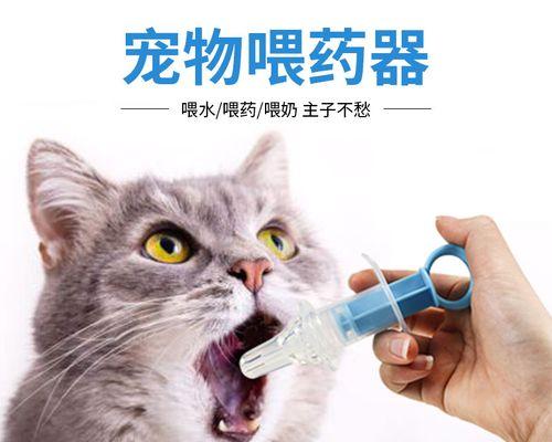 如何让宠物顺利吃药（以猫咪喂药吐了怎么办）