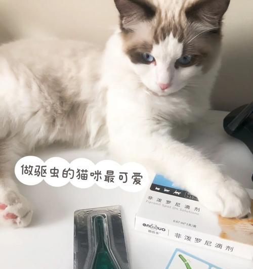 猫咪驱虫，为何如此重要（宠物猫咪的驱虫需求及注意事项）