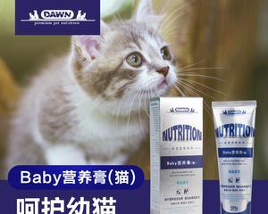 猫咪的保健品必备指南（从宠物健康到幸福生活）
