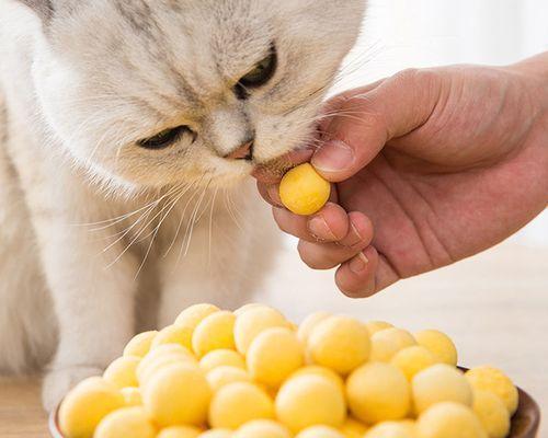 猫咪盐过量怎么办（为了宠物的健康）