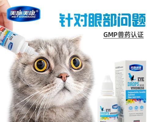 猫咪消炎药膏的选择与使用（为宠物健康着想）