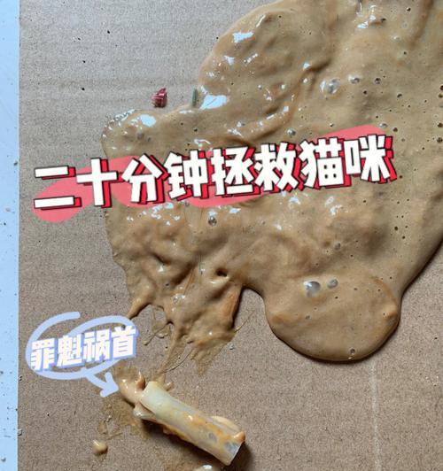 宠物猫咪为什么又吐又拉却精神好（探究猫咪吐拉异常的原因以及如何保持它们的精神状态）