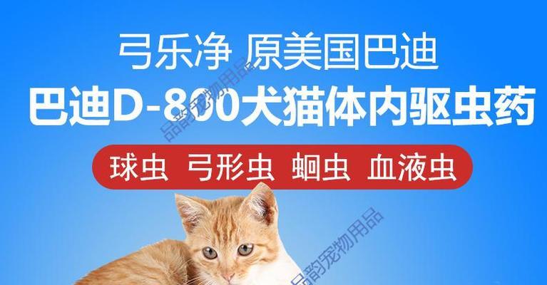 猫咪与弓形虫（宠物猫是弓形虫携带者）