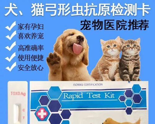 猫咪与弓形虫（宠物猫是弓形虫携带者）