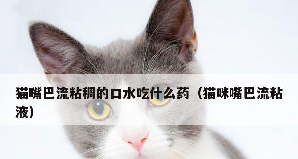 宠物猫的口臭问题（猫咪嘴巴为何不臭）