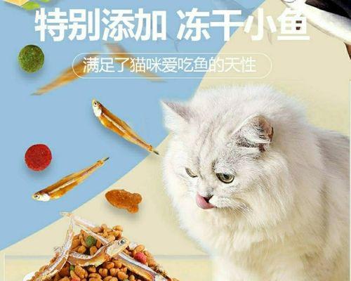 没有猫粮，怎样给猫咪提供饮食（宠物主人必看的猫咪饮食指南）